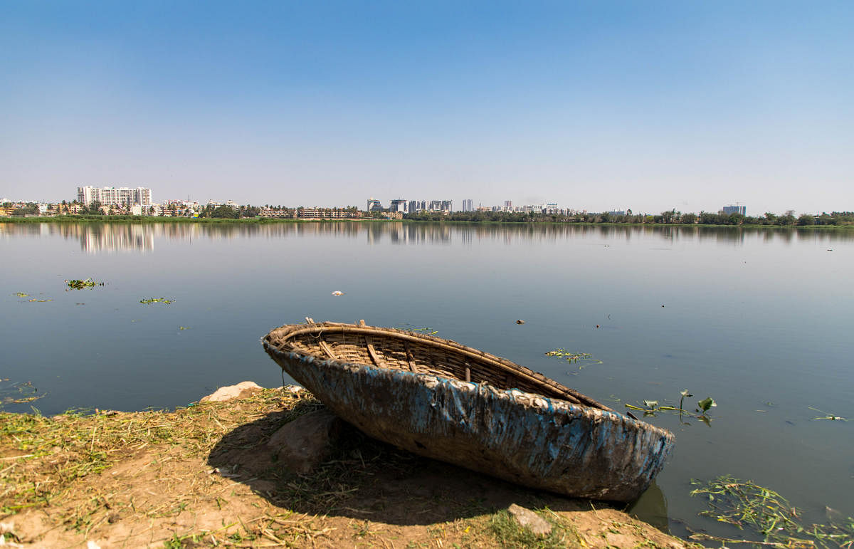 Varthur Lake.DH FILE Photo/Sudheesha K G