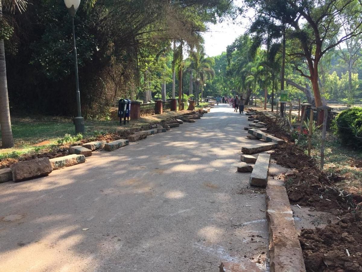 The horticulture department is carrying out asphalting of lanes inside Lalbagh to make it convenient for walkers and joggers. DH Photo/Niranjan Kaggere