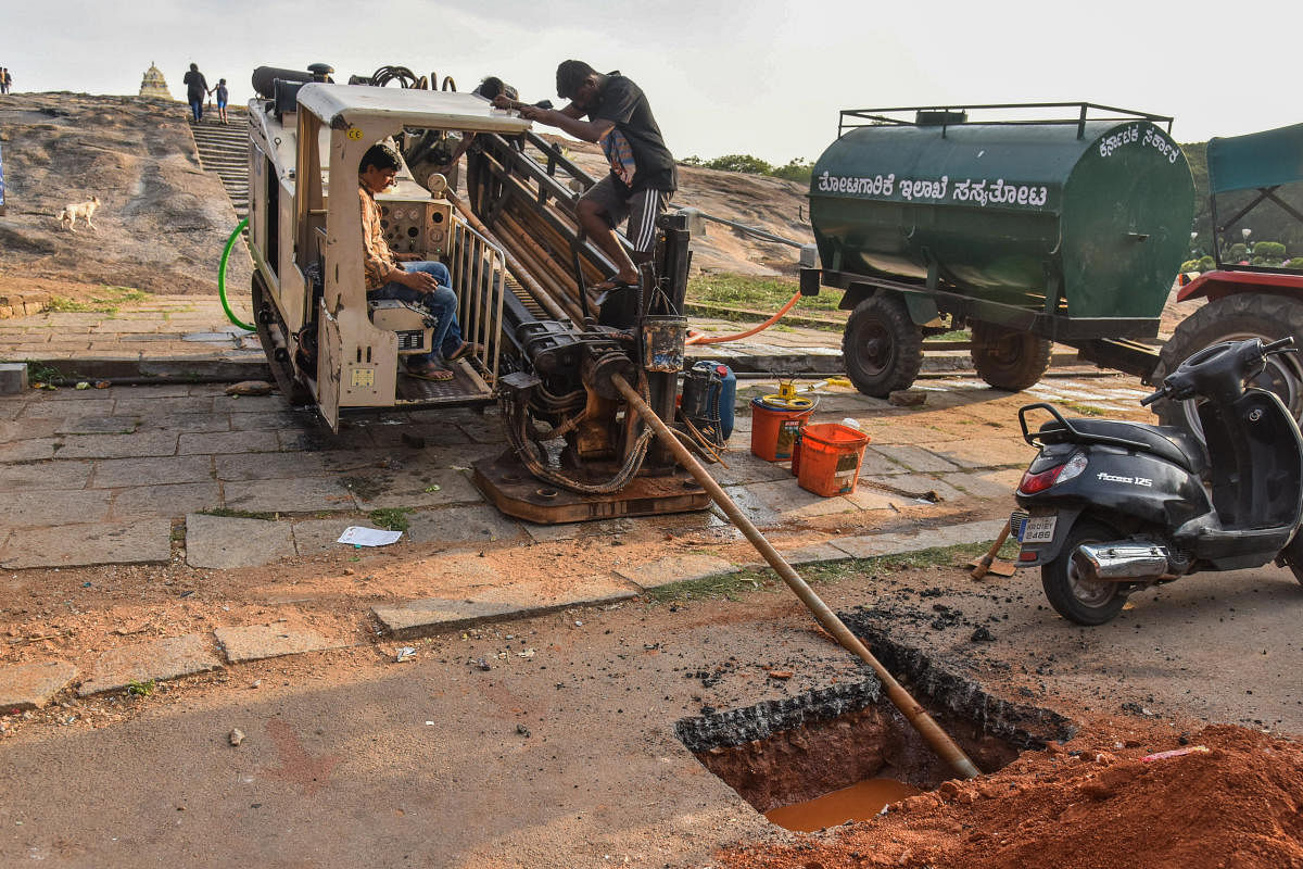 The department has decided not to cut the asphalted roads in future as it is difficult to frequently take up repair works inside the gardens. DH Photo/S K Dinesh