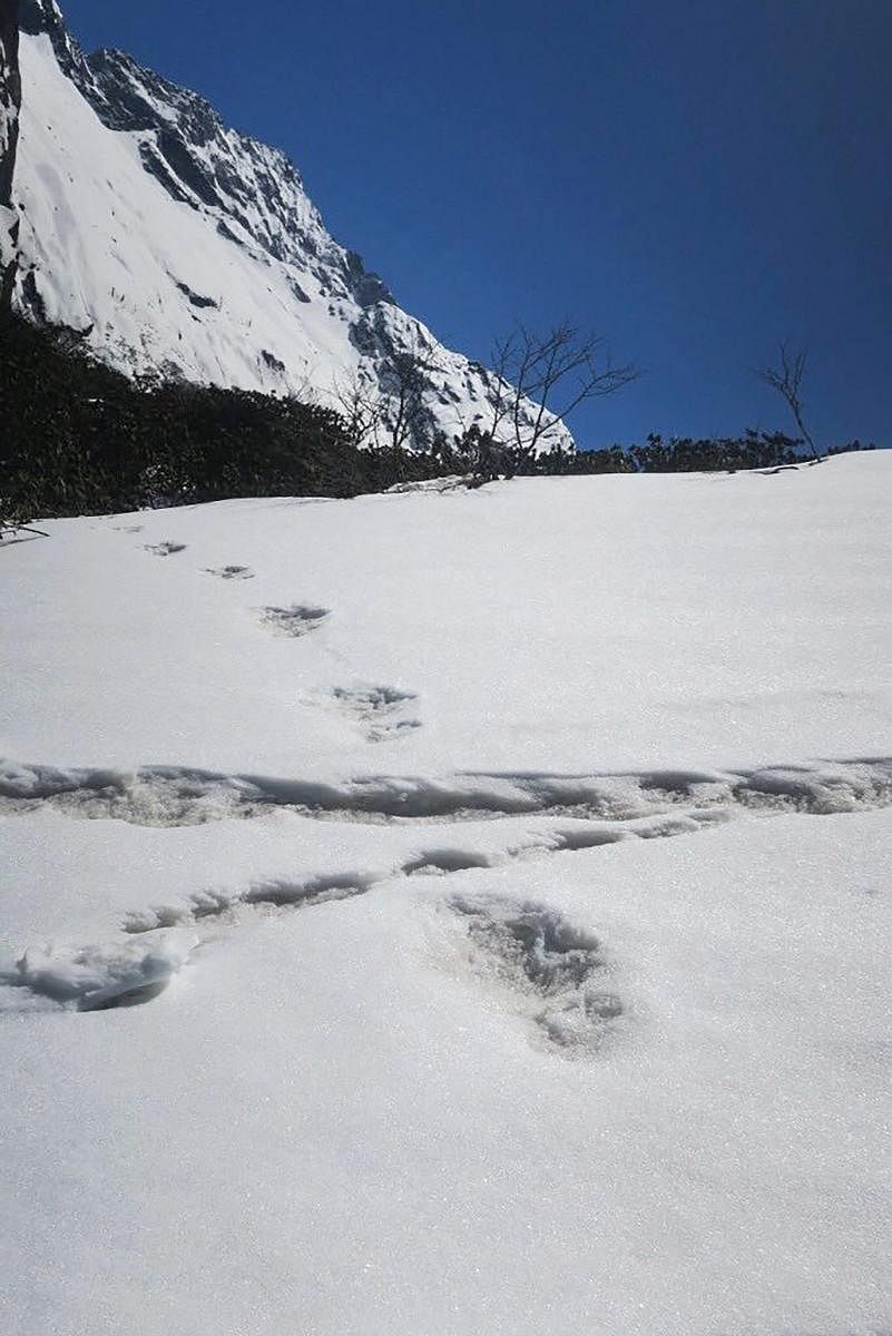 New Delhi: Footprints, claimed by the Indian Army in its twitter account to be of the "mythical beast Yeti", which were sighted by their expedition team near the Makalu Base Camp, Nepal, Tuesday, April 9, 2019. (Twitter/PTI Photo) (PTI4_30_2019_000053B)