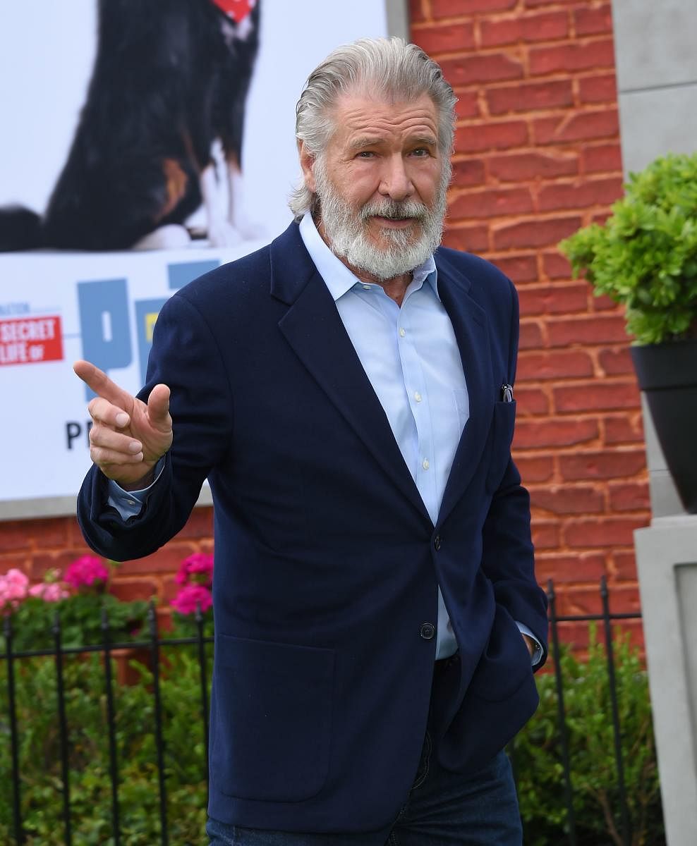 Harrison Ford walks the carpet at the 'The Secret Life of Pets 2' Los Angeles Premiere at Regency Village Theatre in Westwood, California. (AFP Photo)