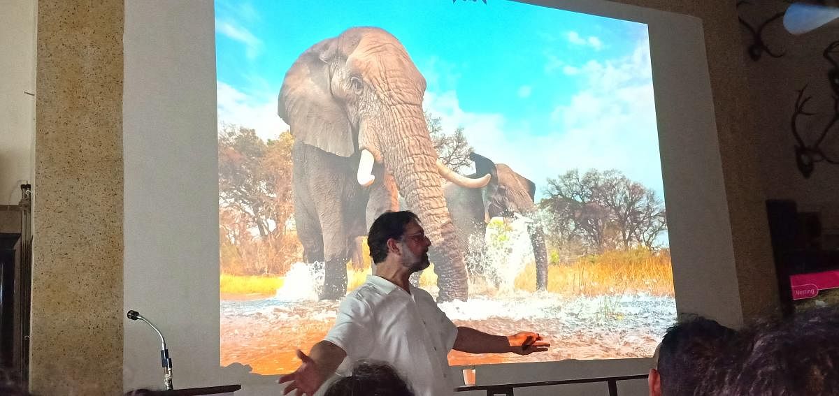 "It ranks fourth or fifth in the order of the transnational organised crime....we cannot imagine the volume," said Dr Wasser addressing the Bombay Natural History Society (BNHS) on Friday evening. (DH Photo)