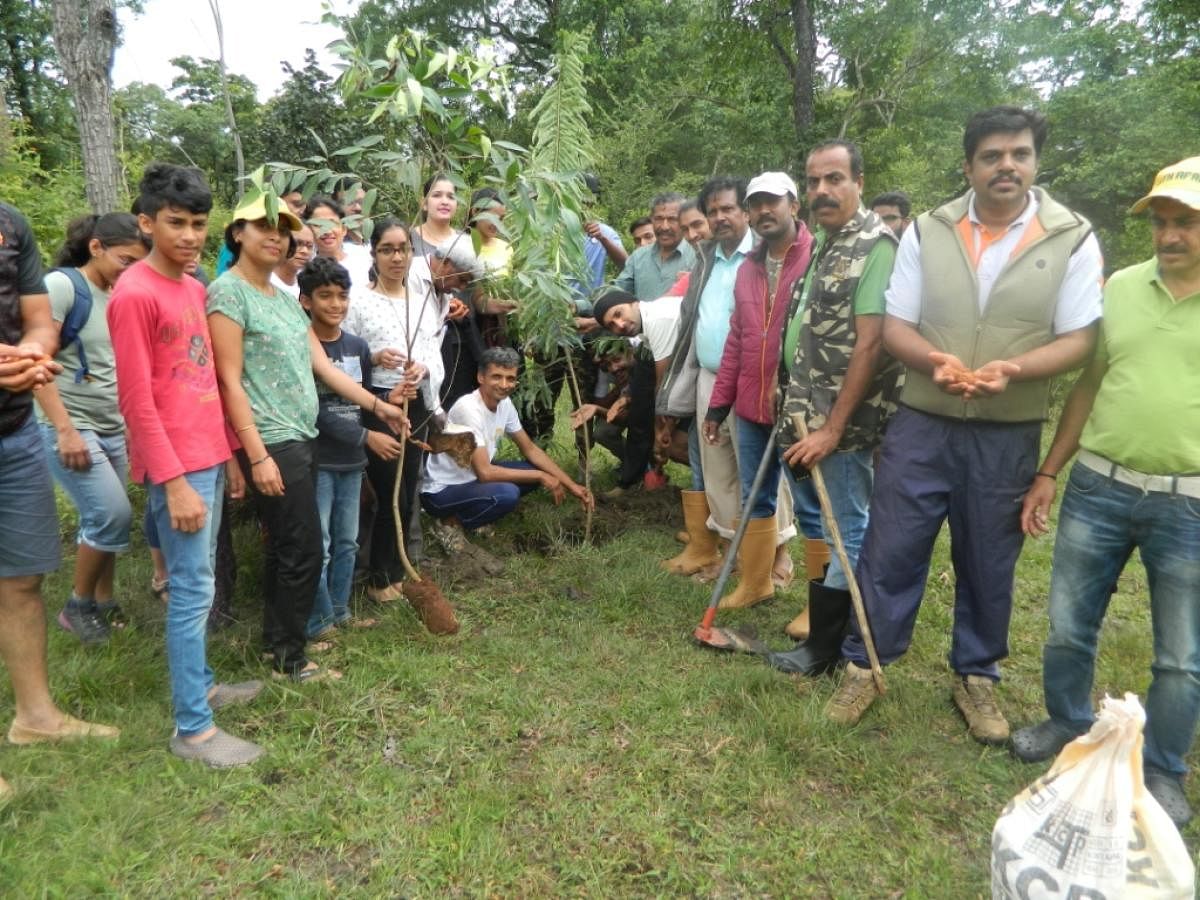 Art of Living Teachers Committee Head Alamengada Don Rajappa inaugurates a drive to plant saplings as part of ‘Roots of Kodagu’ campaign at Titimathi.