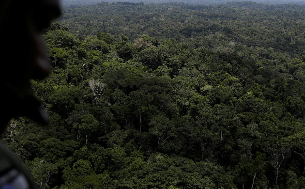 A policeman observes the Amazon rainforest during an operation conducted by agents of the Brazilian Institute for the Environment and Renewable Natural Resources, or Ibama, near Novo Progresso, southeast of Para state, Brazil, November 5, 2018. REUTERS/Fi