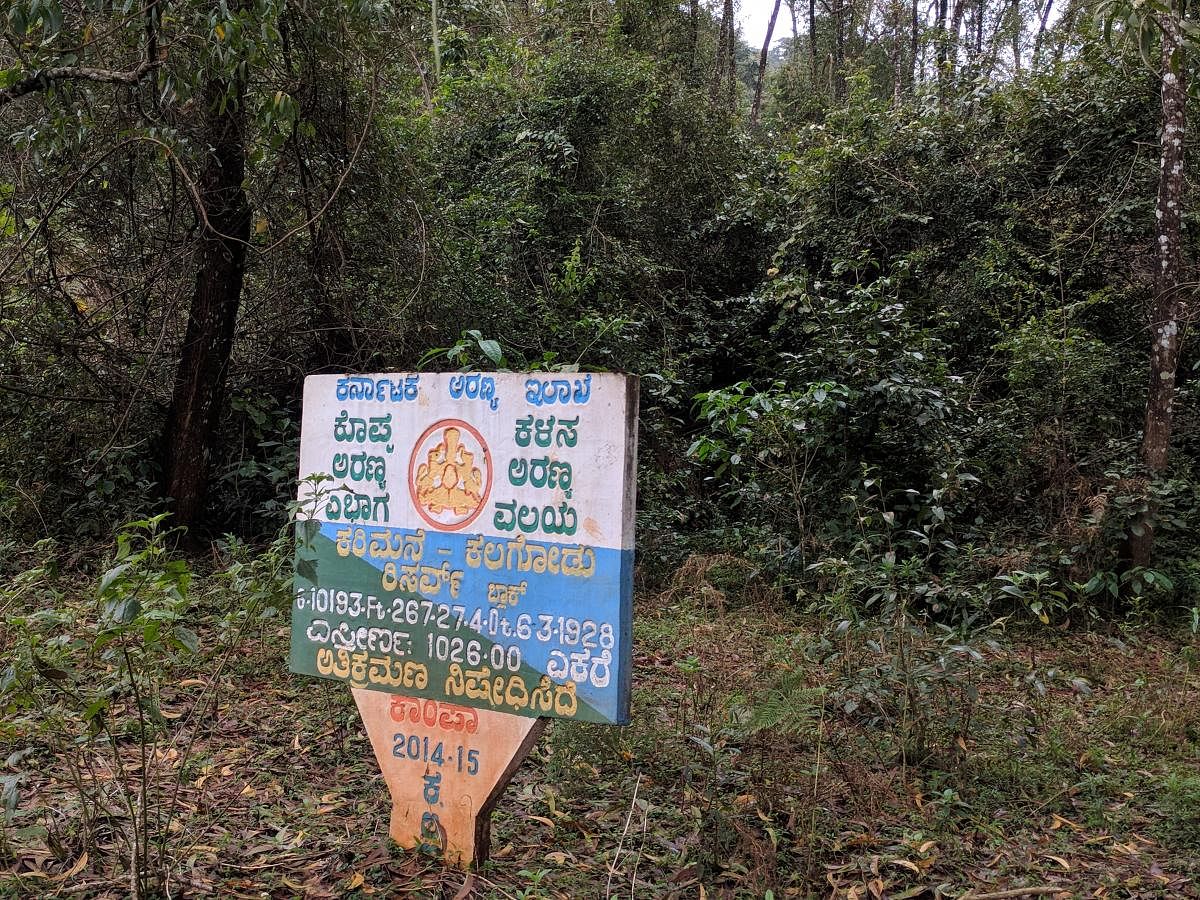 A board on reserve forest placed at Karimane Kallugodu in Abbugudige near Kalasa.