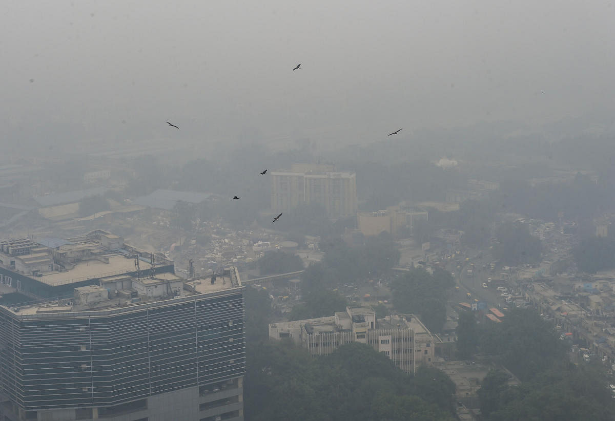 An anguished court said that stubble burning was still going on in Punjab, Haryana and Uttar Pradesh despite its order prohibiting it. (PTI Photo)