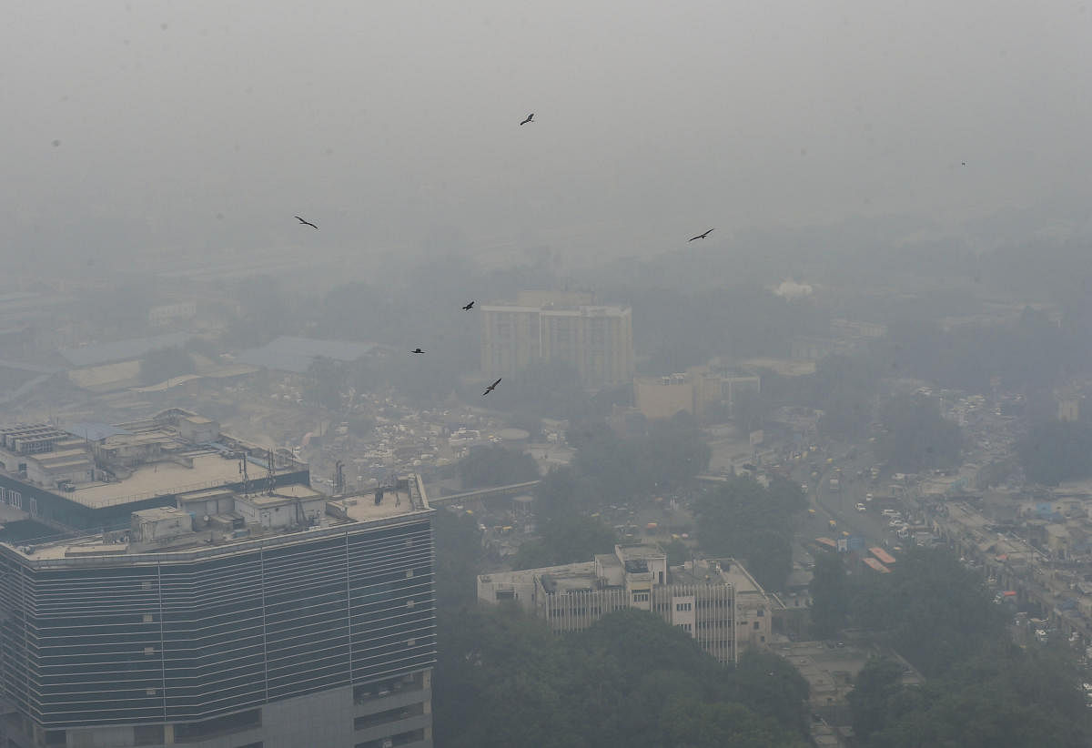  Pollution in New Delhi (PTI Photo)