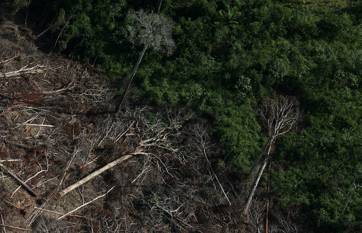 An aerial view of a tract of Amazon jungle after it was cleared by farmers in Itaituba, Para, Brazil September 26, 2019. Picture taken September 26, 2019. REUTERS/Ricardo Moraes