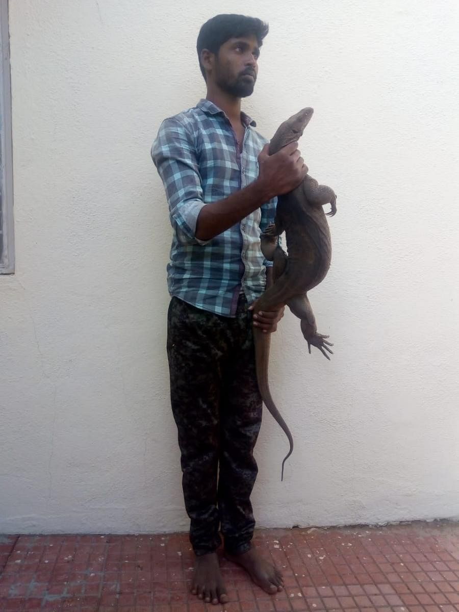 Chinna was caught trying to sell a live monitor lizard on Saturday. PIC: NGO TRAFFIC