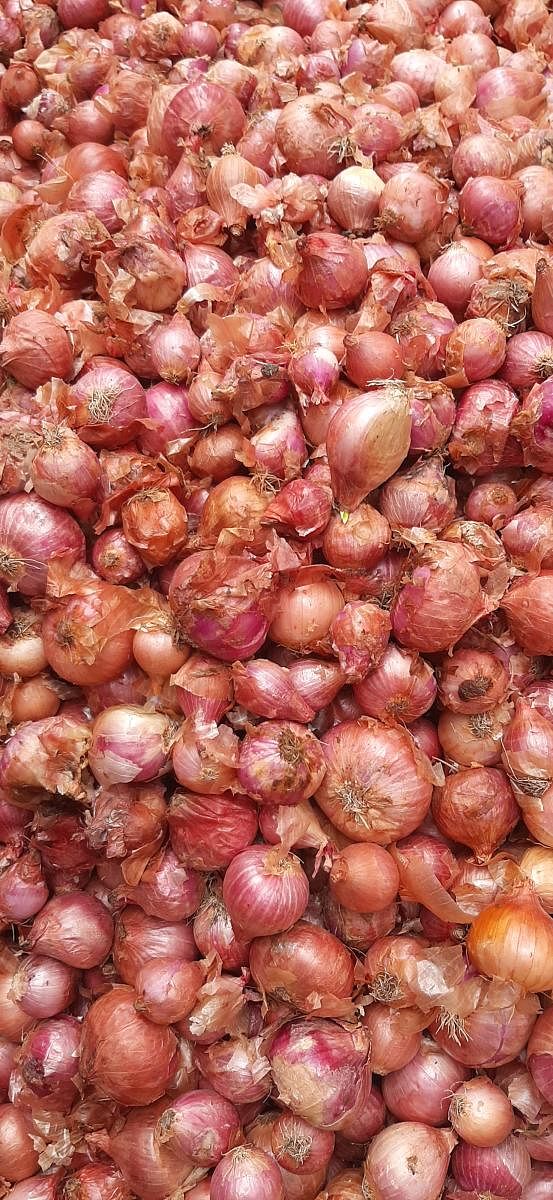 Onions in the market.