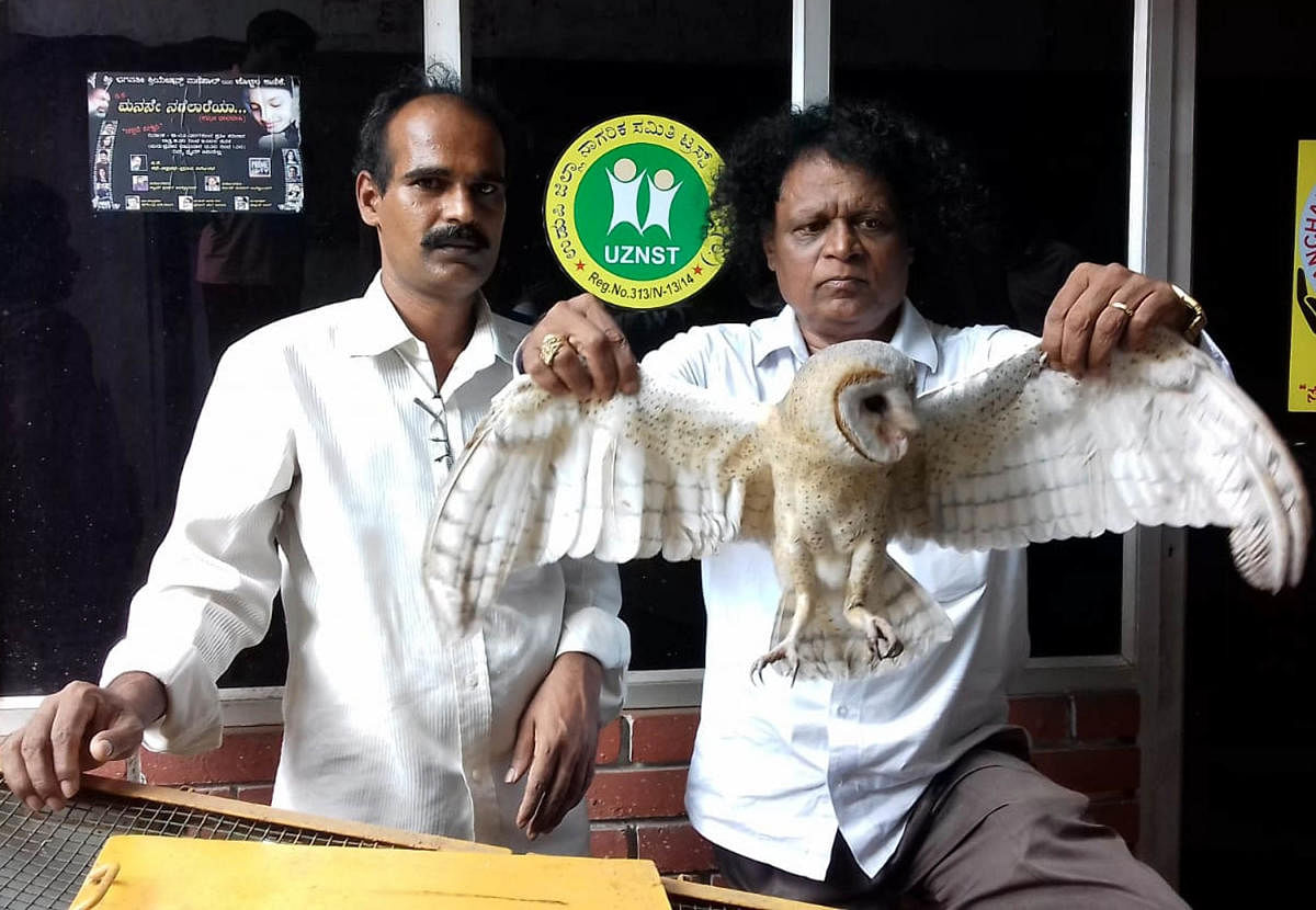 Activist Nithyananda Olakadu rescued a rare owl. 