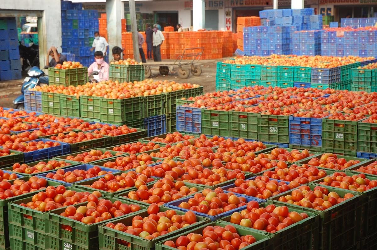 Unsold tomatoes in Kolar APMC