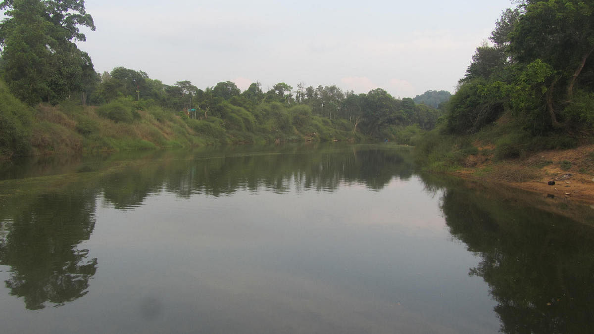 River Cauvery flowing near Napoklu.