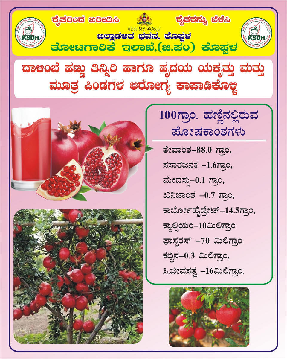 A pamphlet prepared by Koppal Horticulture Department to promote the sale of pomegranate