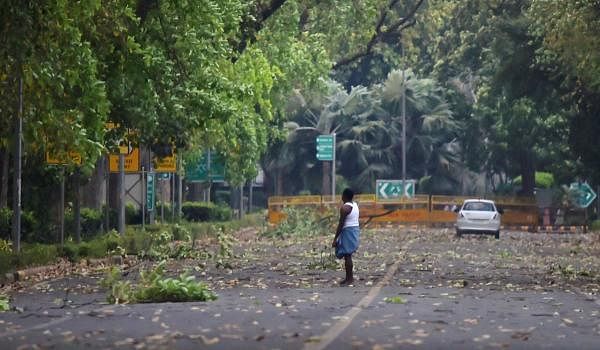 Branches of trees lie fallen on a road amid a dust storm, during the nationwide COVID-19 lockdown, in New Delhi, Thursday, May 14, 2020. (PTI Photo)