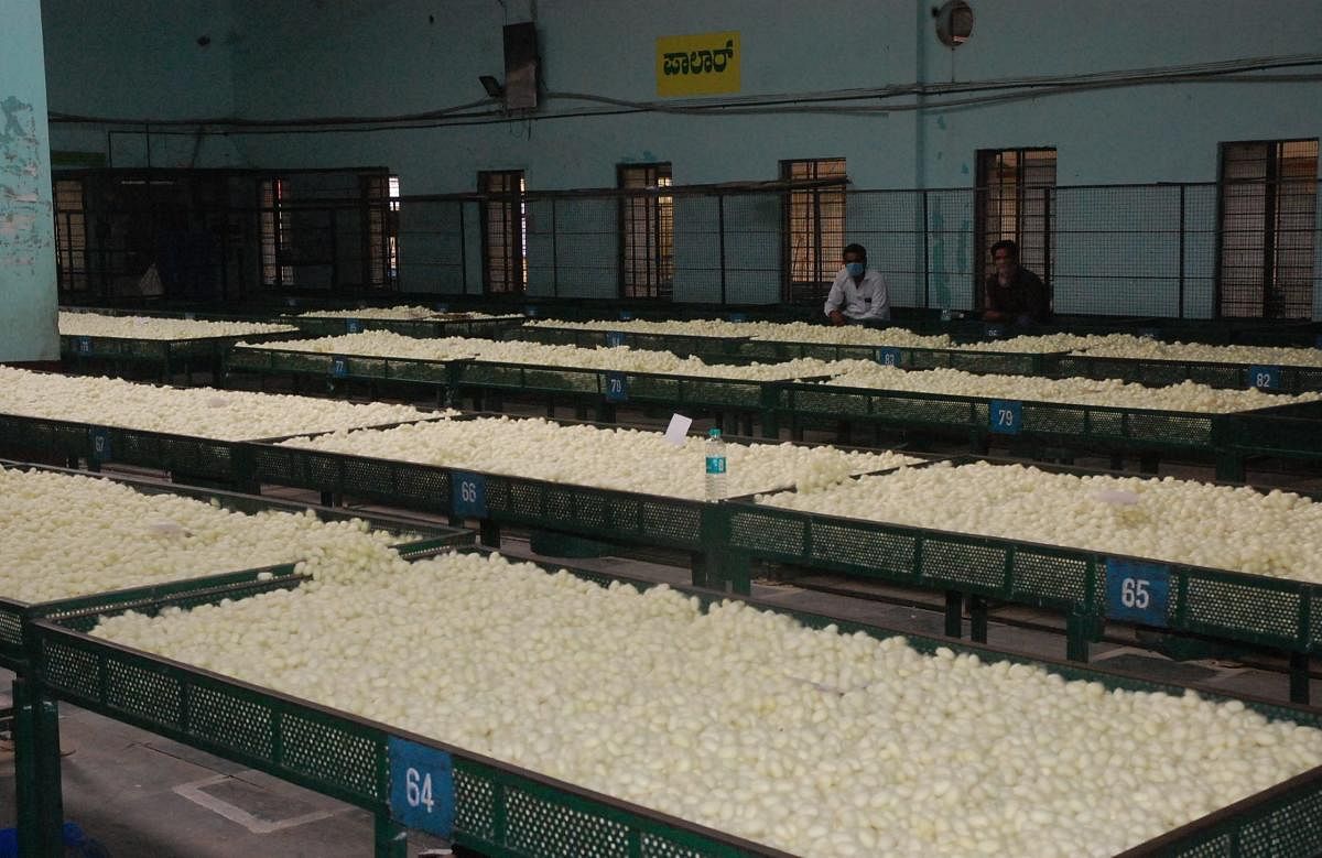 Large quantities of silkworm cocoons remain unsold in the market as the auction was boycotted by reelers.
