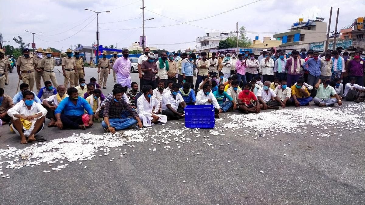 Farmers stage protest by dumping cocoons on road in Ramanagara on Saturday. DH Photo