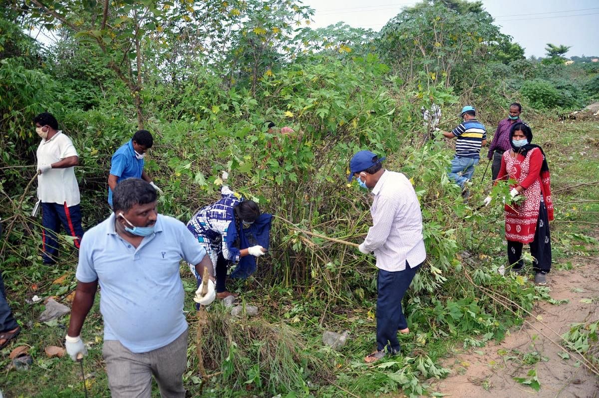 Volunteers clearing weeds grown beside the road in Chikkamagaluru.