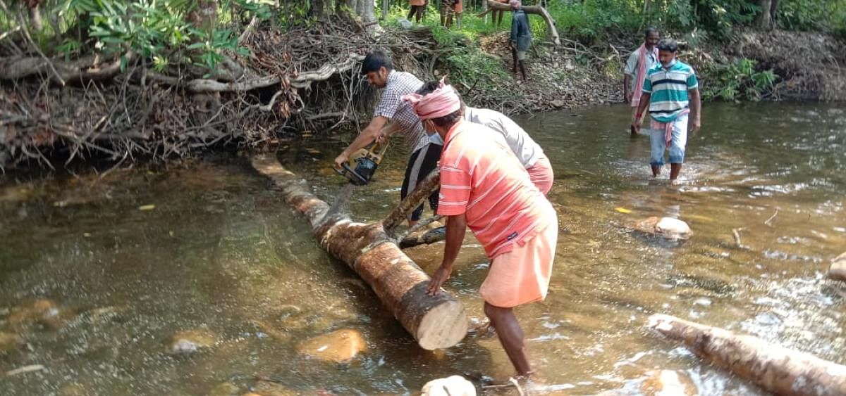Villagers of Shishila clear the driftwood from River Kapila, in Shishila.