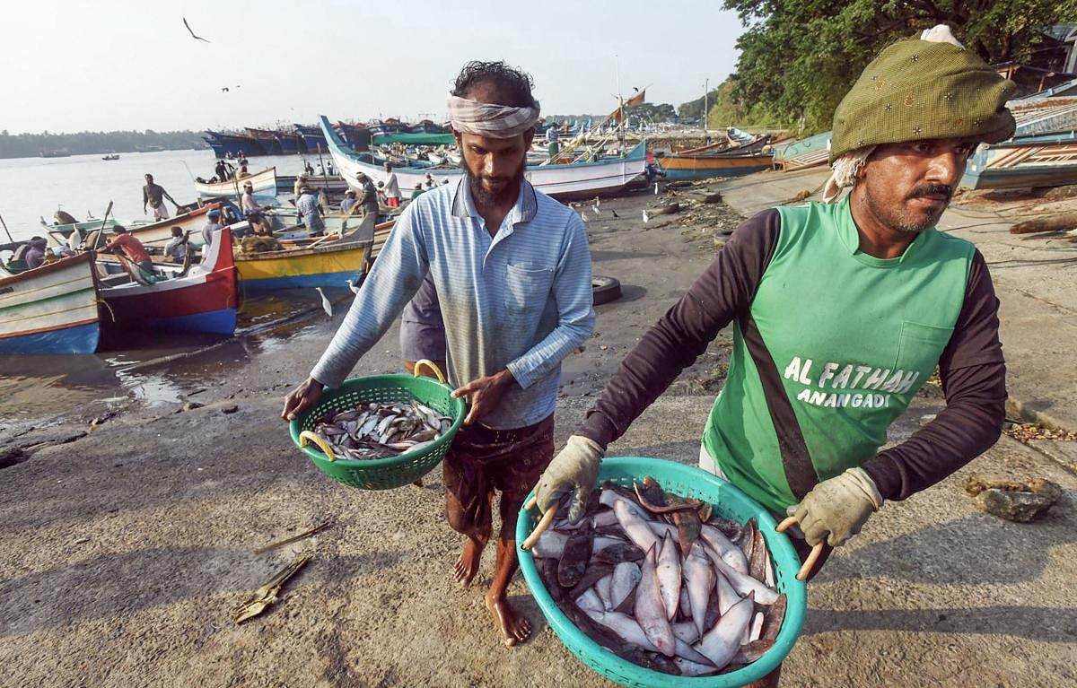 Fishermen who have got some relaxation during the COVID-19 lockdown (PTI Photo)