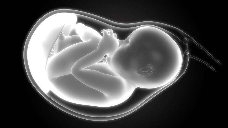 3D Illustration of Fetus (Baby) in Womb Anatomy (Image for representation/iStock Image)