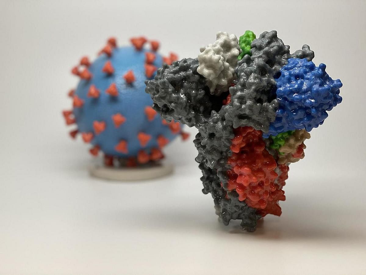A 3D print of a spike protein of SARS-CoV-2, the virus that causes COVID-19 -- in front of a 3D print of a SARS-CoV-2 virus particle. (AFP Photo)