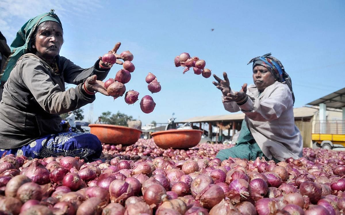 Political parties that slam central governments on high prices for consumers/low prices for farmers will do zilch about getting their state governments to implement these reforms. Photo/PTI