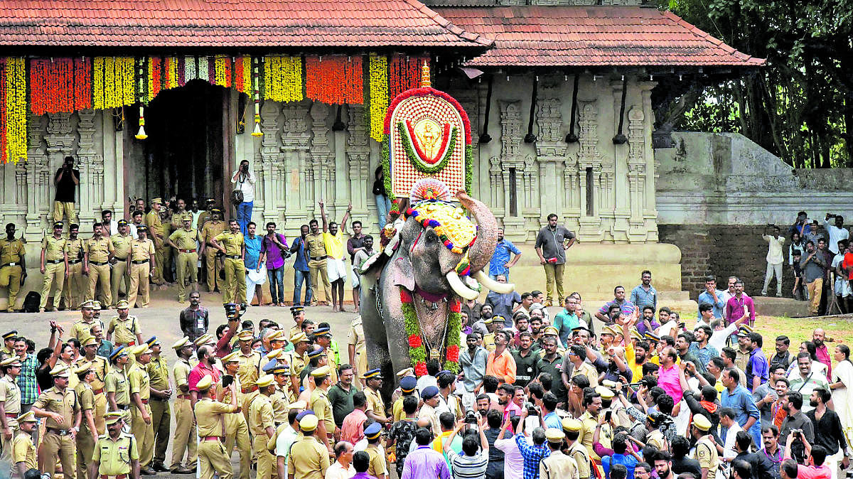 A view of how Thrissur Pooram festival in Thrissur was celebrated on May 12, 2019. (PTI Photo)
