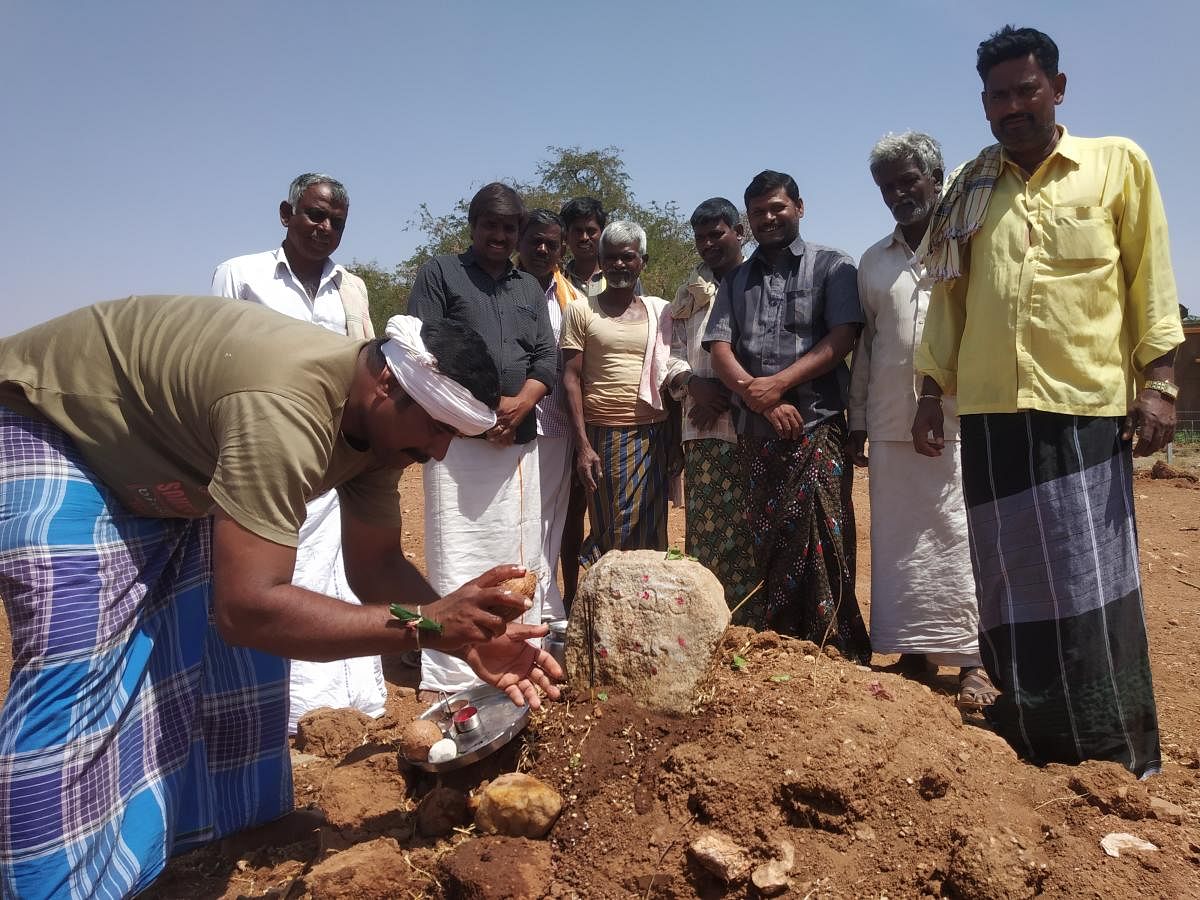 Villagers of Boppalapura worship ‘linga mudre kallus’. They are a subset of ‘gudi kallus’ or stones that indicate land boundaries or grants.  Photos by author