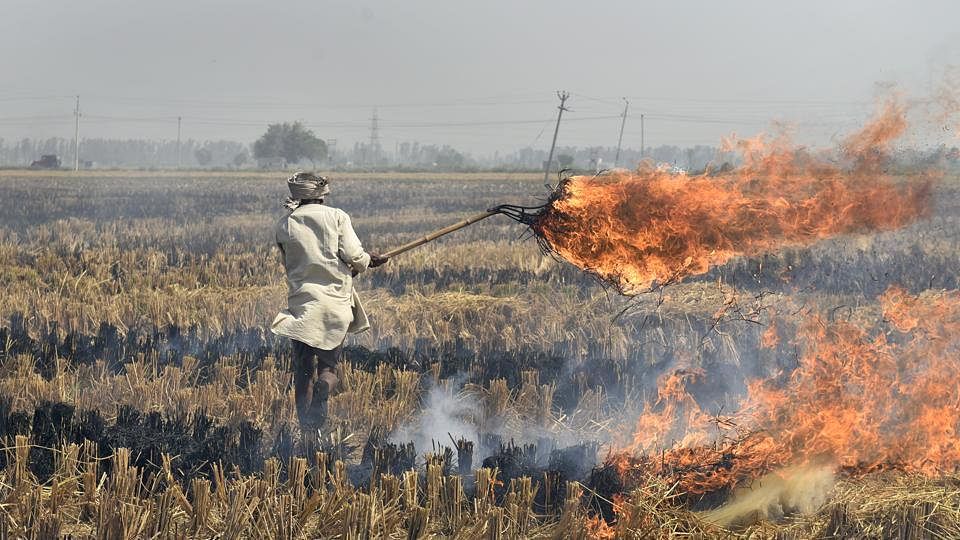farmers should be encouraged and made aware of the consequences of burning straw in their fields, said chief secretary Rajendra Kumar Tiwari. Representative Photo/Twitter (@DDNewsLive)