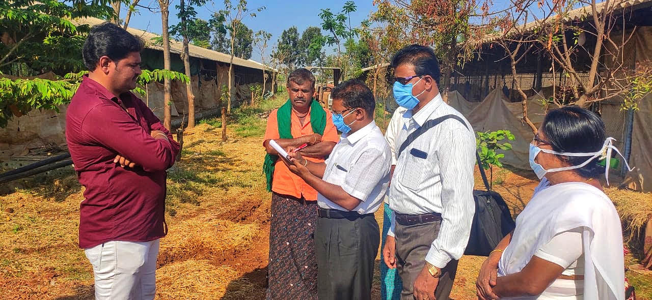 Officials of the Animal Husbandry Department visited the poultry farm and assessed the situation. (DH Photo)
