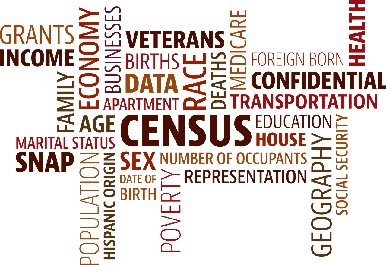 Done every 10 years, the census was first conducted in 1872 during the British rule and the first complete census was done in 1881. (Image by Mary Pahlke from Pixabay)