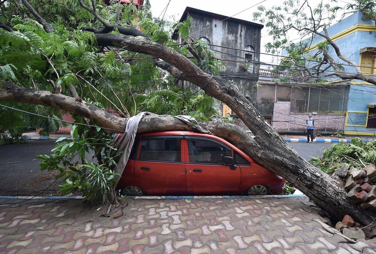 A car parked along a road damaged by an uprooted tree, after super cyclone 'Amphan', in Kolkata, Thursday, May 21, 2020. (PTI)