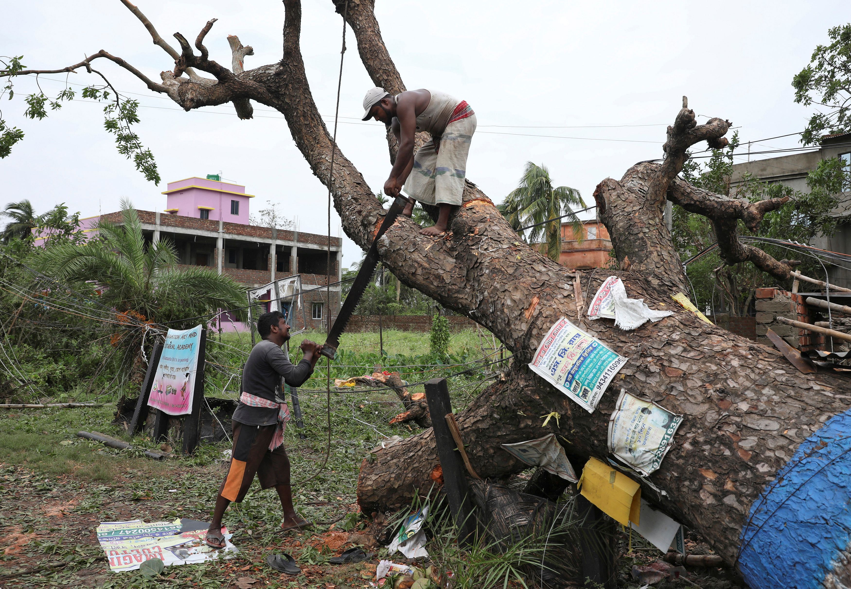 Men cut branches of an uprooted tree in the aftermath of Cyclone Amphan, in South 24 Parganas district in the eastern state of West Bengal, India, May 22, 2020. (REUTERS Photo)