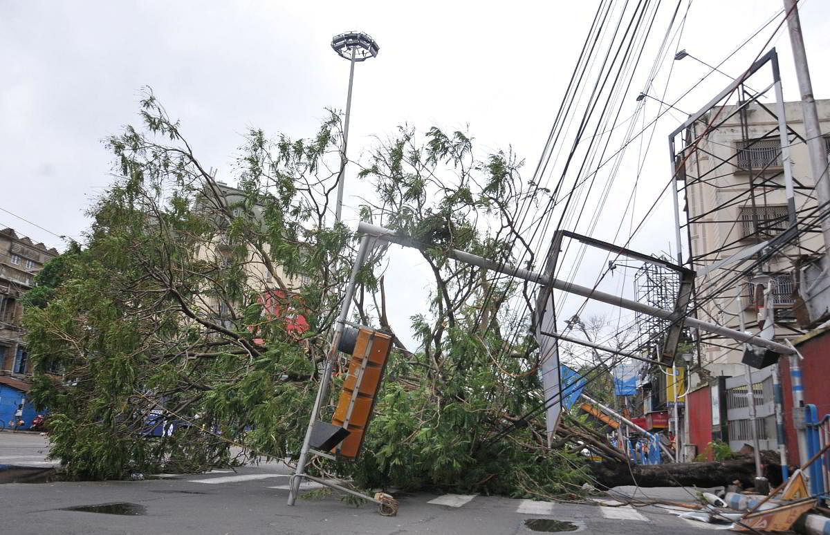 An uprooted tree and a traffic signal post lie on a street in the aftermath of Cyclone Amphan, in Kolkata, Thursday, May 21, 2020. Credit: PTI Photo