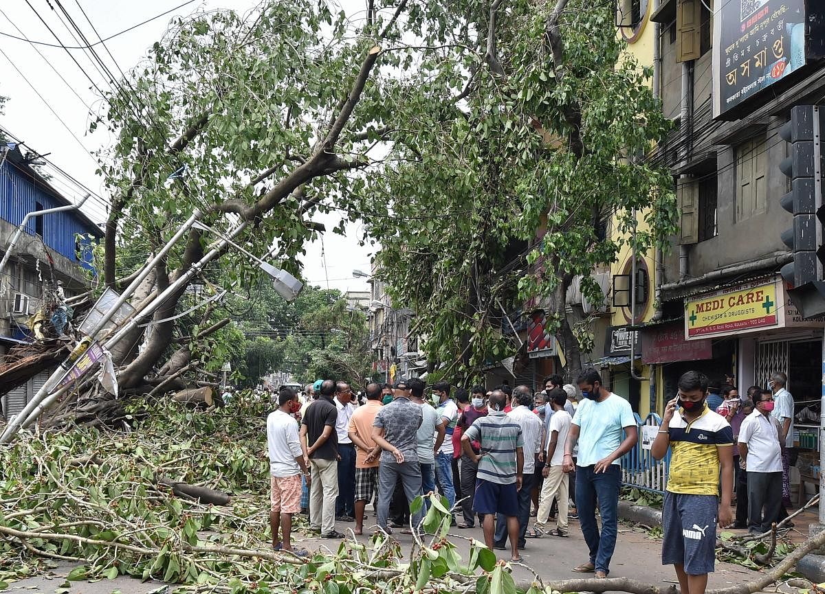 Aftermath of Cyclone Amphan (PTI Photo)