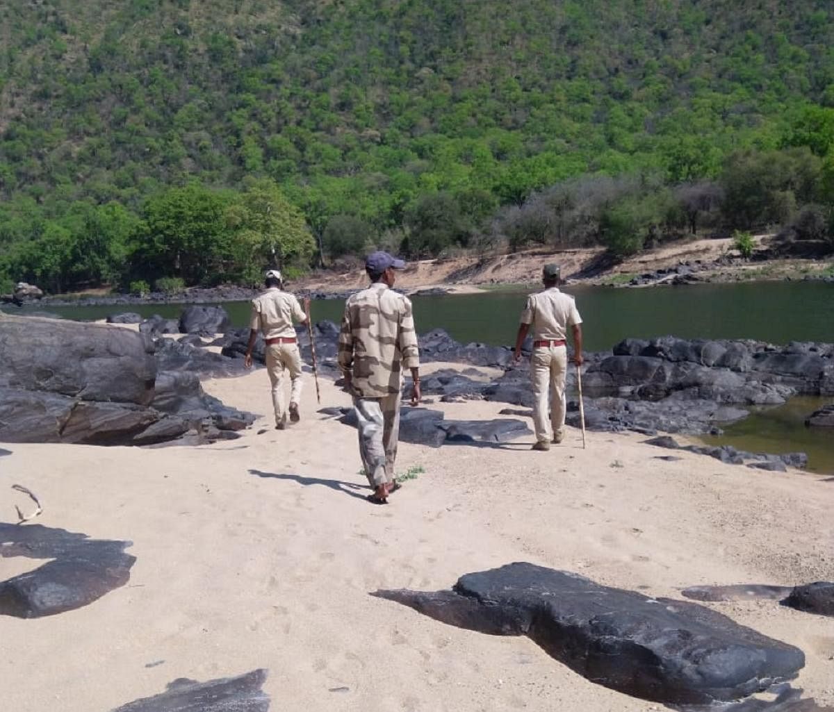 Forest department personnel patrol on the banks of River Cauvery, at Male Mahadeshwara Wildlife Sanctuary. DH PHOTO