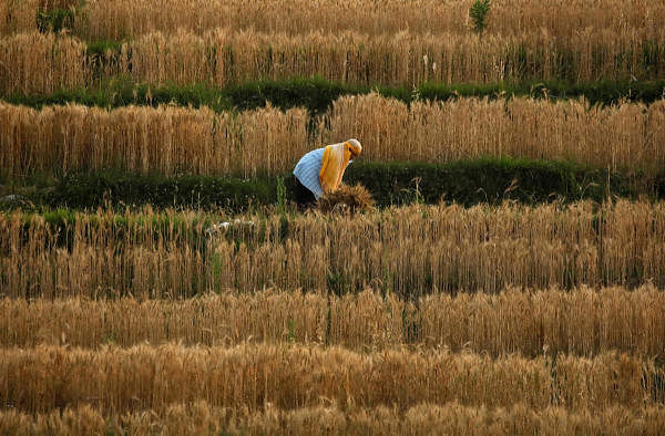  Representative image. (Credit: Reuters Photo)