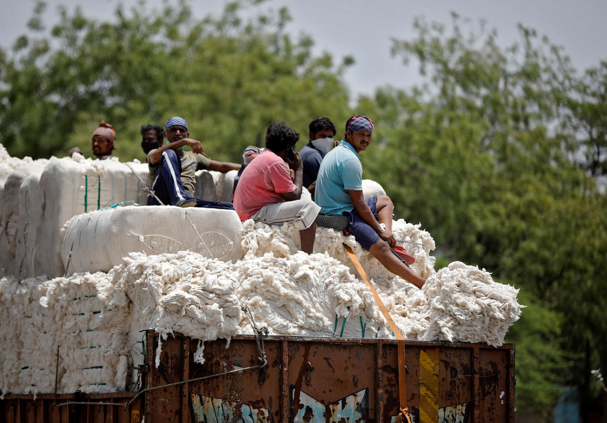 Workers sit on cotton bales (Reuters Photo)