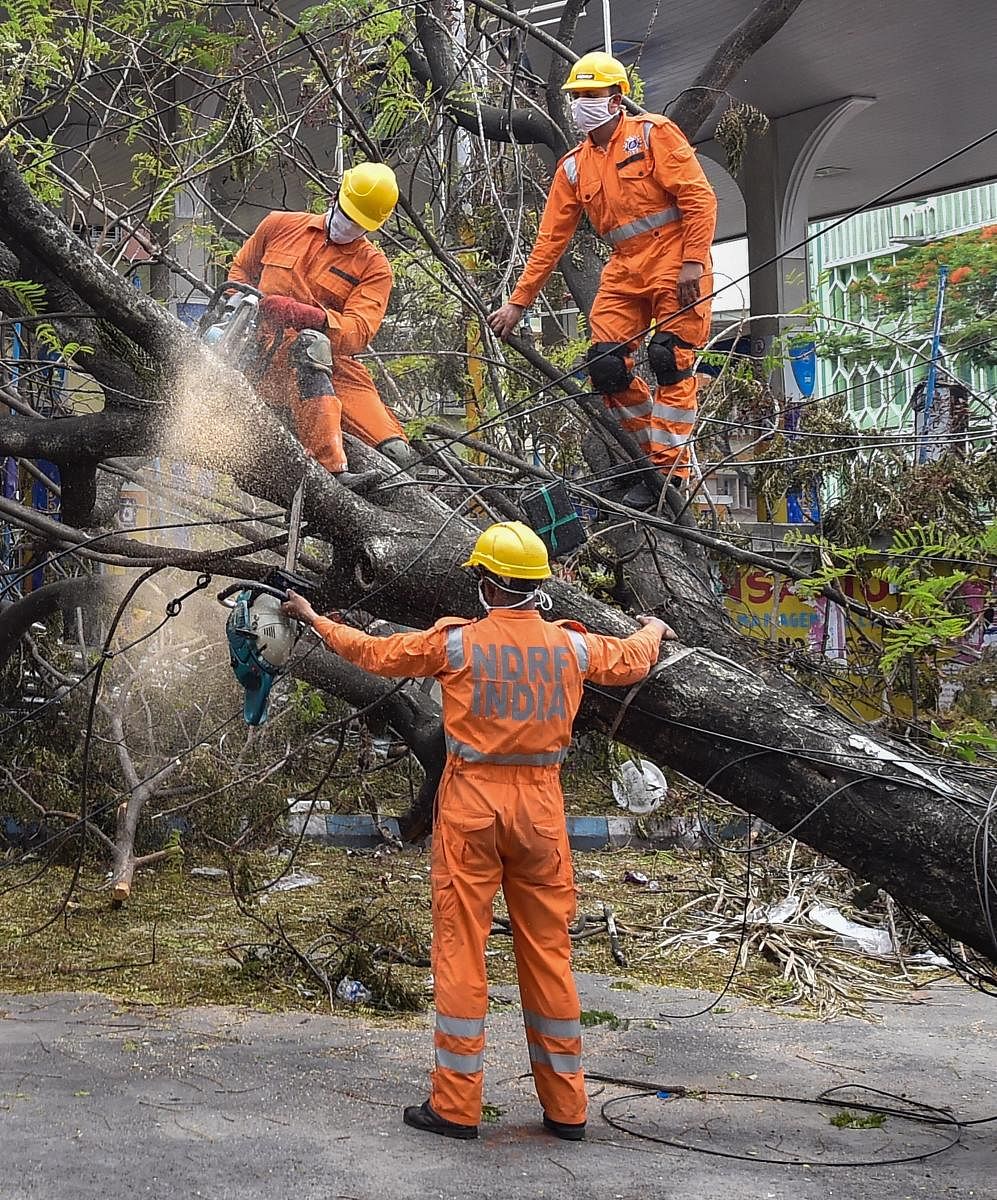 NDRF personnel work to clear an uprooted tree from a road, in the aftermath of Cyclone Amphan, in Kolkata, Tuesday, May 26, 2020. (PTI Photo/Swapan Mahapatra)