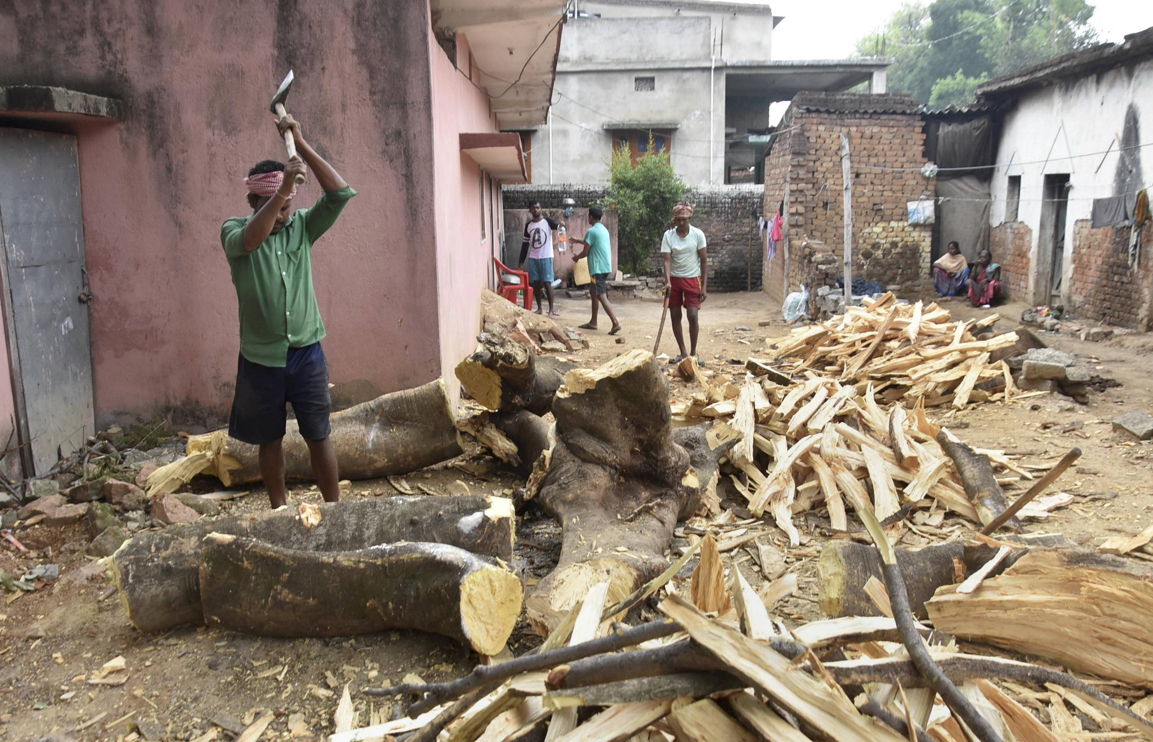 After much struggle, with the help of an NGO, she was able to use a nearby pond near their one-storey mud-built house for breeding of fishes. (Credit: PTI Photo)