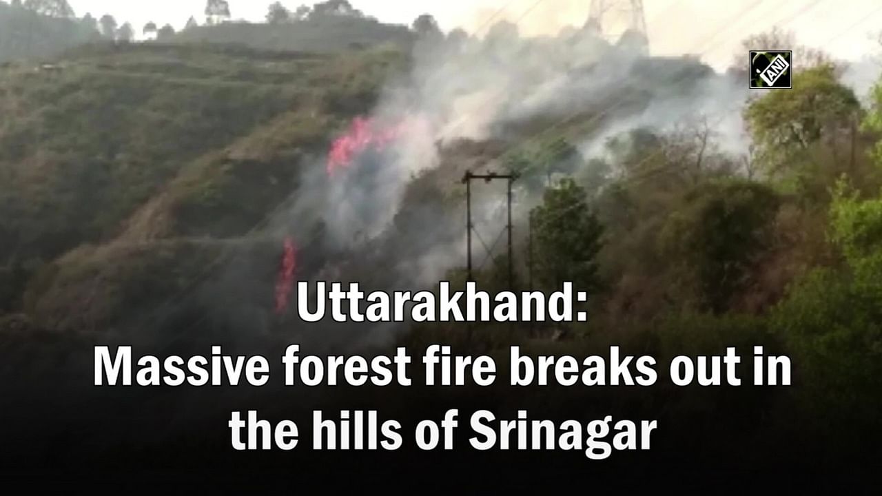 Uttarakhand: Massive Forest Fire Breaks Out In The Hills Of Srinagar