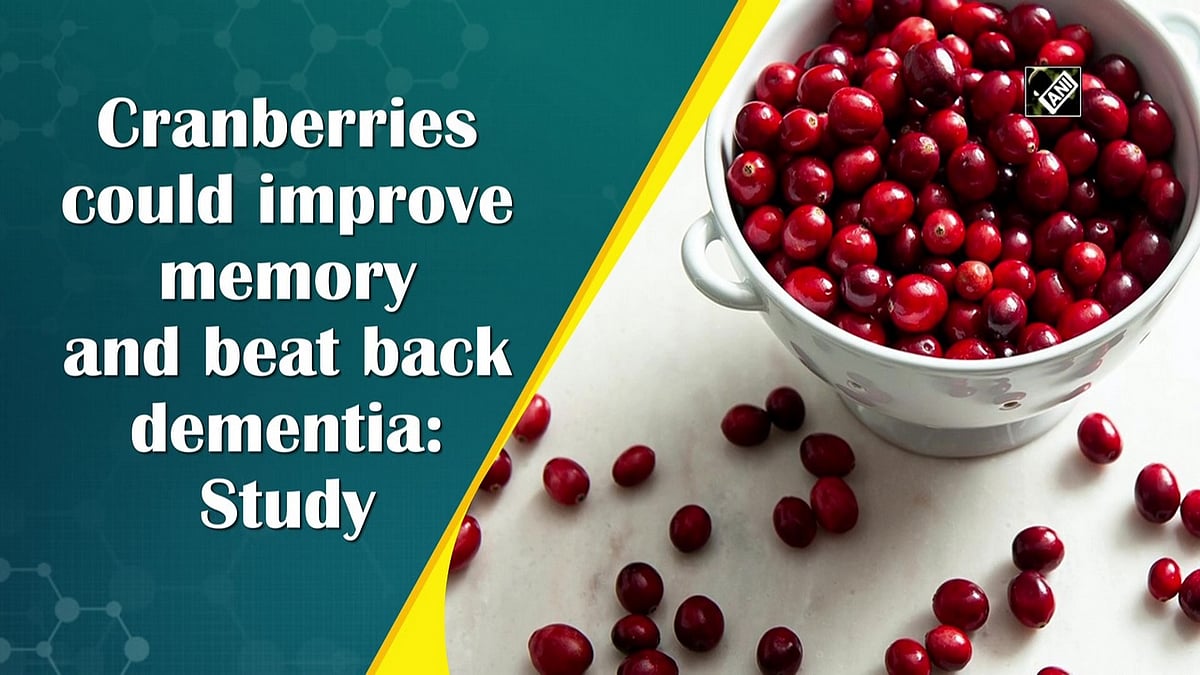 Cranberries could improve memory and beat back dementia Study