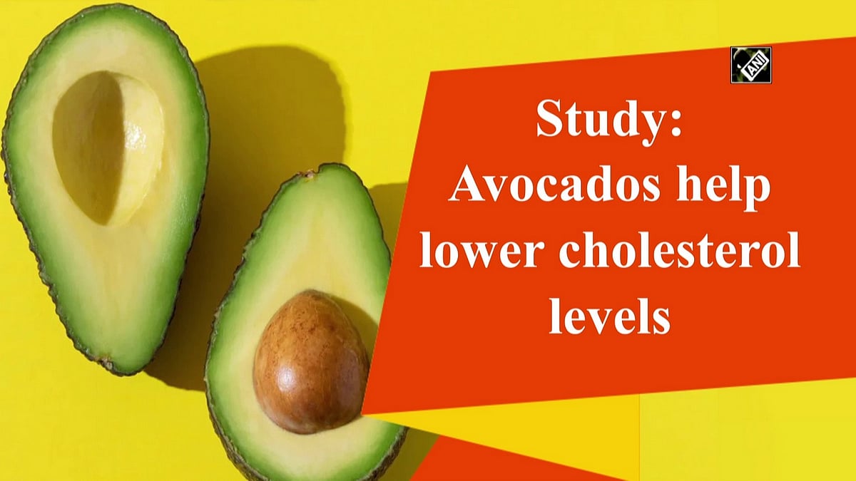 Study Avocados help lower cholesterol levels