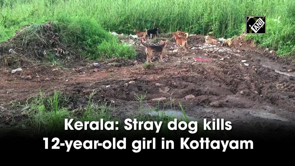 Kerala Stray dog kills 12yearold girl in Kottayam