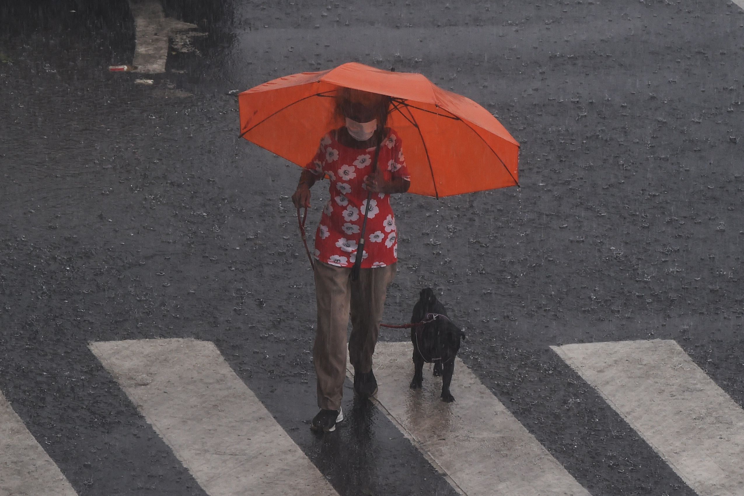 A woman walks her dog as rain falls in Mumbai on June 4, 2020, the day after cyclone Nisarga's landfall in India's western coast. Credit: AFP Photo