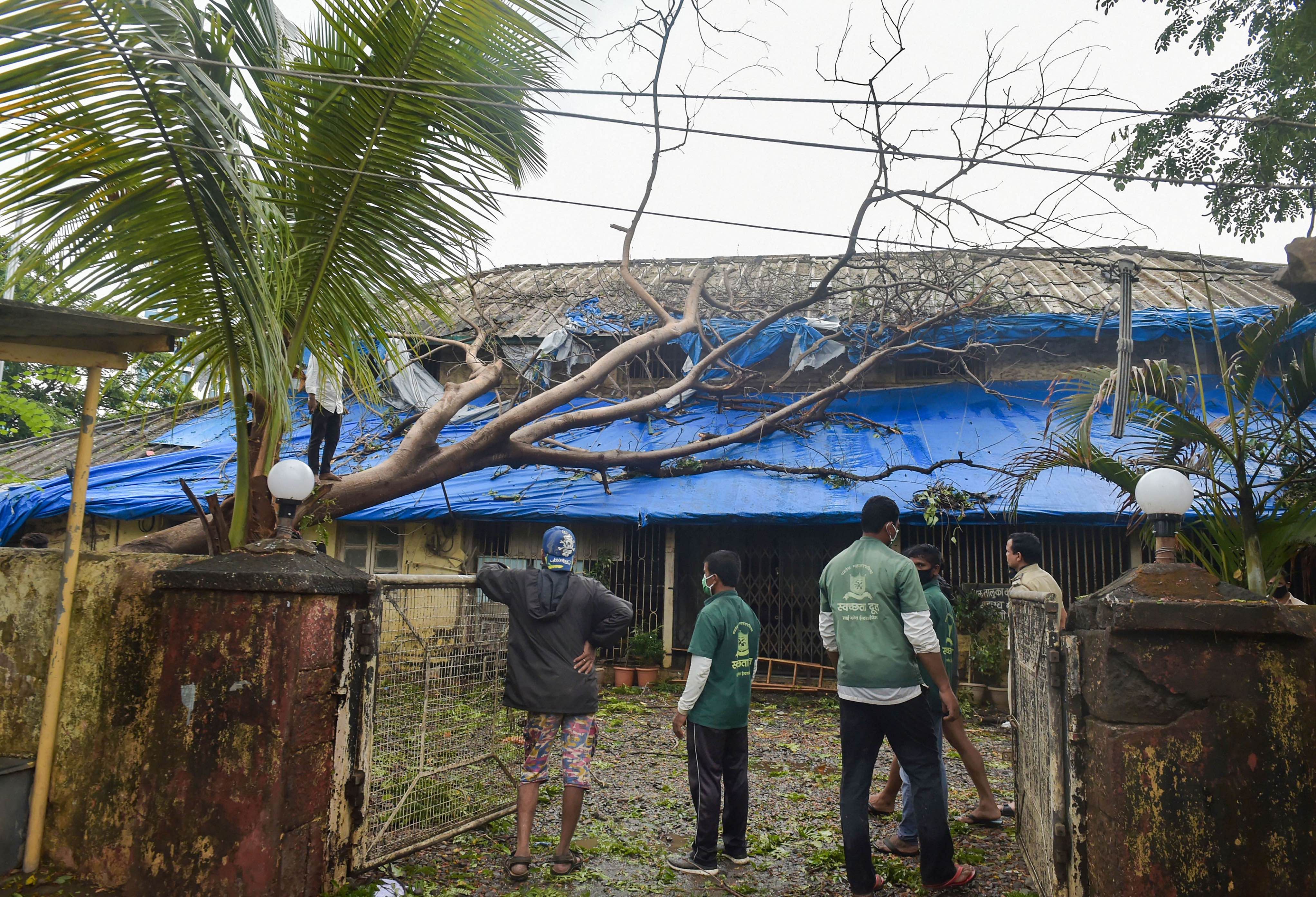 Workers prepare to chop an uprooted tree to clear the premises of a government building in the aftermath of Cyclone Nisarga. Credit: PTI Photo