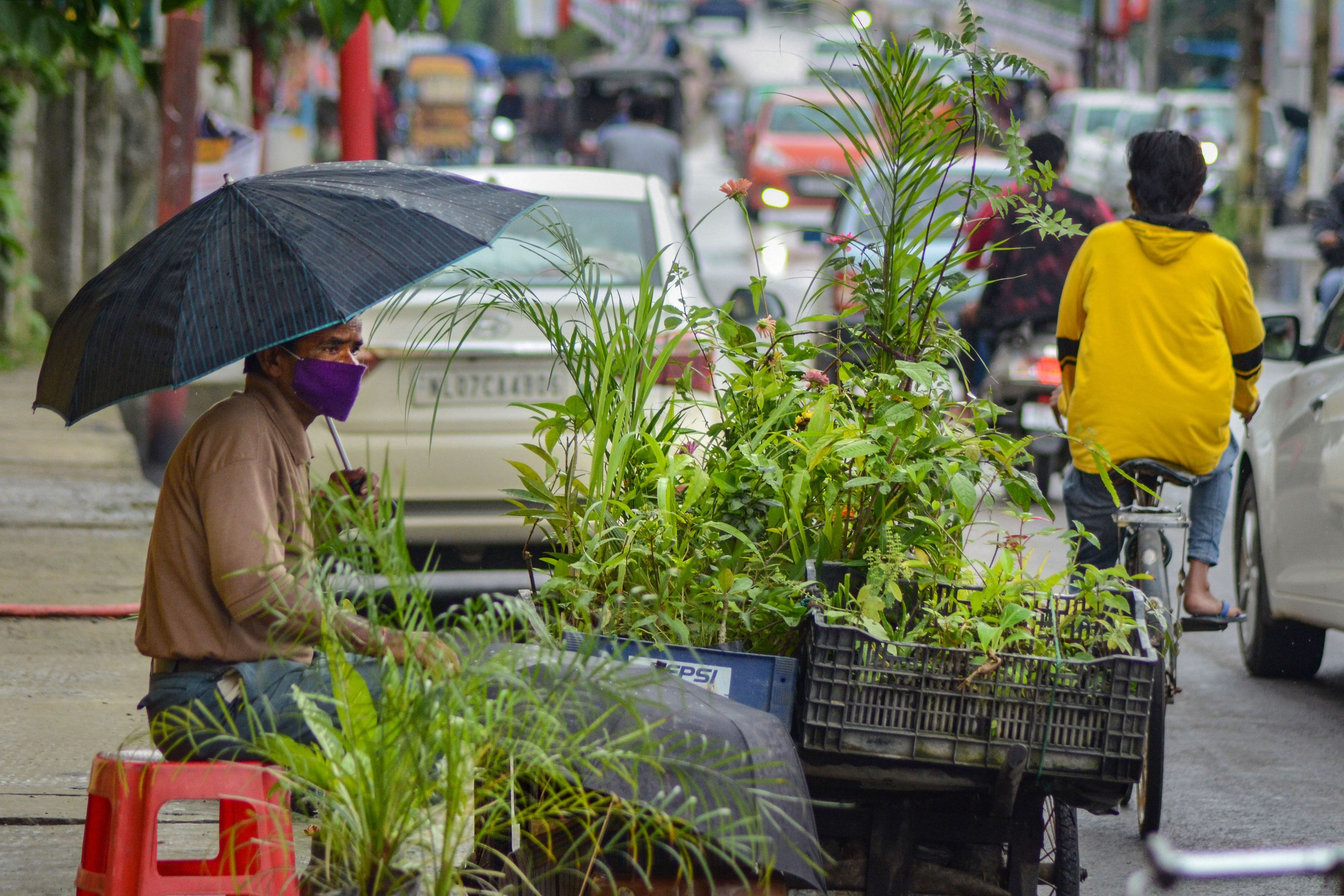 A vendor sells plants along a road on the eve of World Environment Day, during the ongoing COVID-19 lockdown. (PTI Photo)