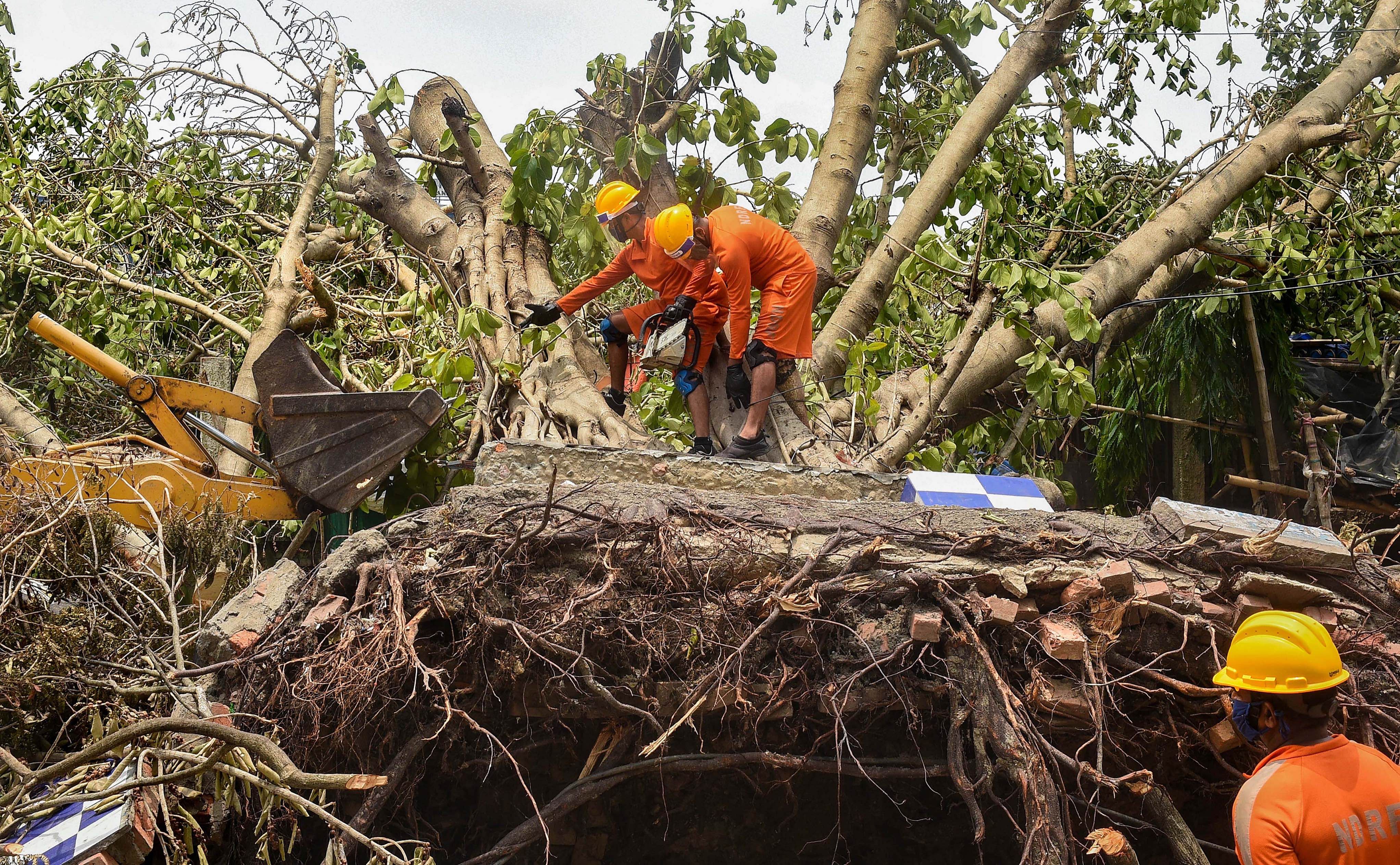 NDRF personnel work to clear an uprooted tree from a road, in the aftermath of Cyclone Amphan, in Kolkata. (PTI photo)