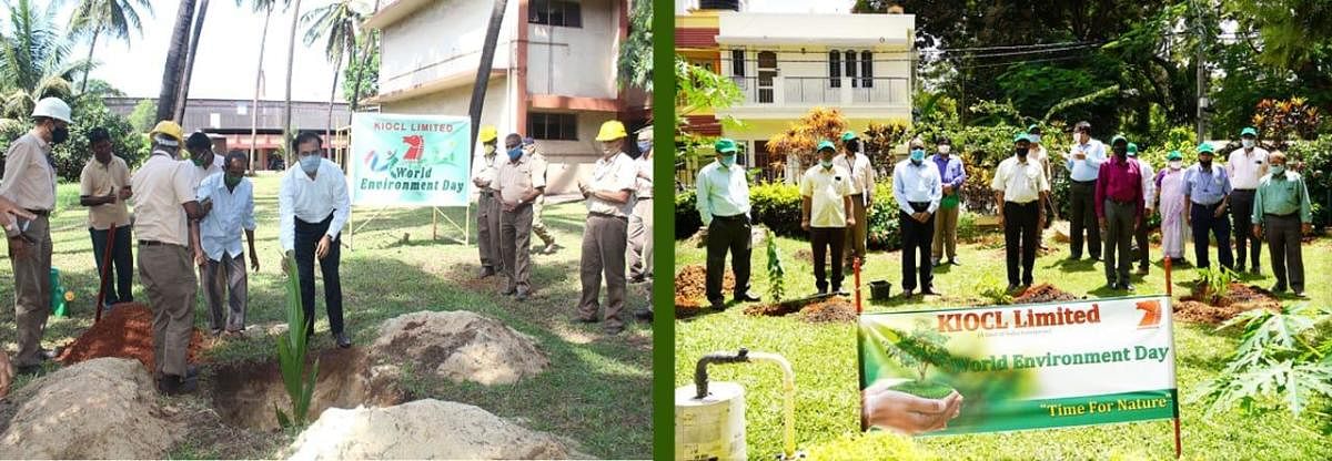 Saplings were planted as part of the Environment Day observed at the pellet plant premises of KIOCL Limited at Panambur.